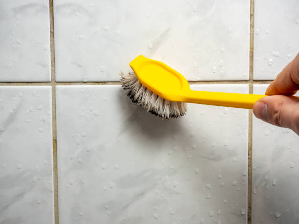 Best Mold Remediation Services  in Elkins, AR