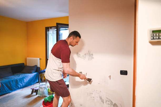 Certified Mold Removal in Elkins, AR